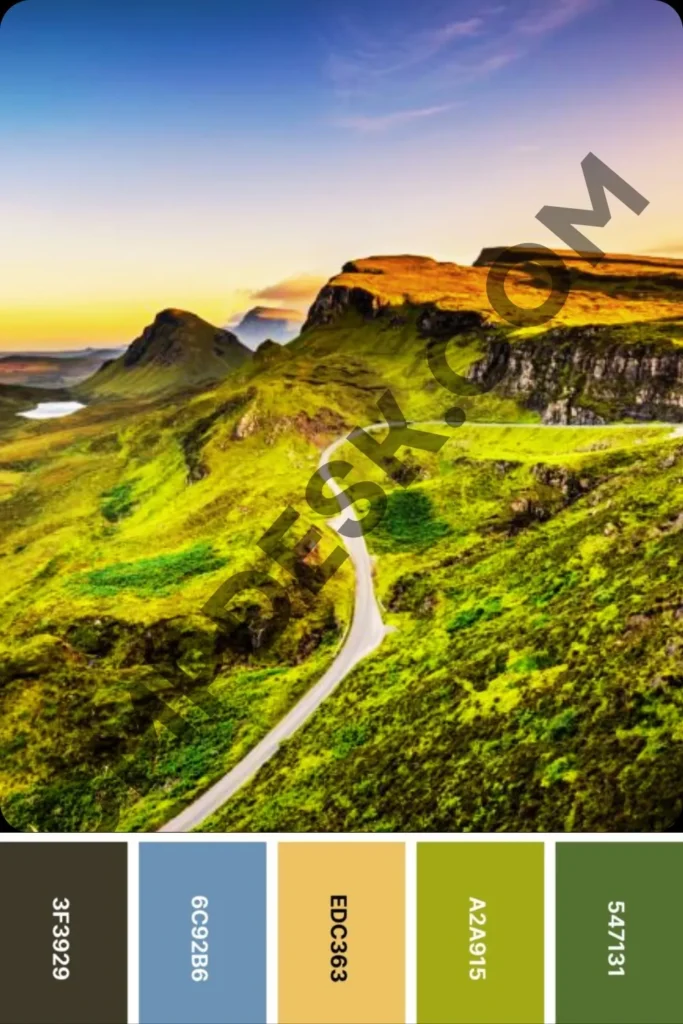 A graphic design graphic showcasing an outdoor color palette template derived from a natural landscape. The top section features a scenic view of rolling green mountain ridges and a winding asphalt road under a bright sunrise or sunset sky. Below the image are five individual vertical color swatches with their corresponding hex codes printed sideways: a dark charcoal earthy brown (3F3929), an ocean blue-grey (6C92B6), a warm sand beige (EDC363), a bright sage green (A2A915), and a deep forest green (547131).